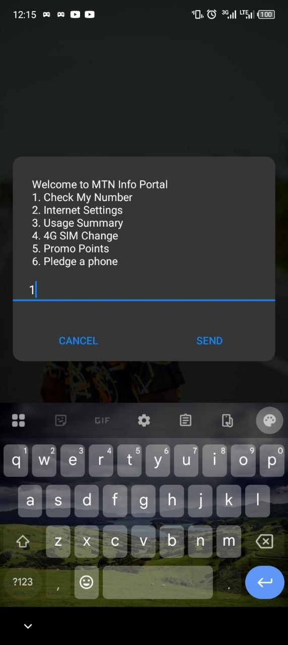 MTN service menu screen listing options like Check My Number, Internet Settings, and Usage Summary